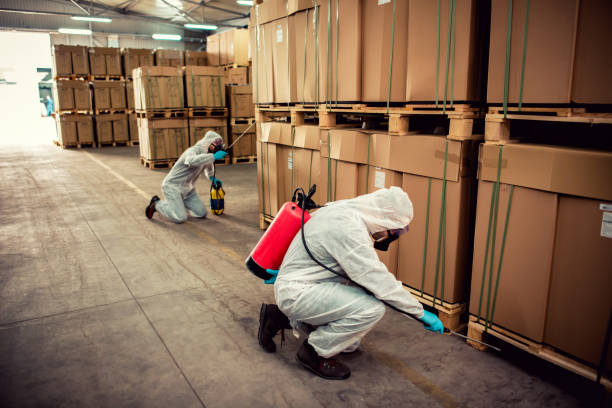 Best Mosquito Control Services  in Clinton, TN