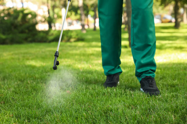 Best Residential Pest Control  in Clinton, TN