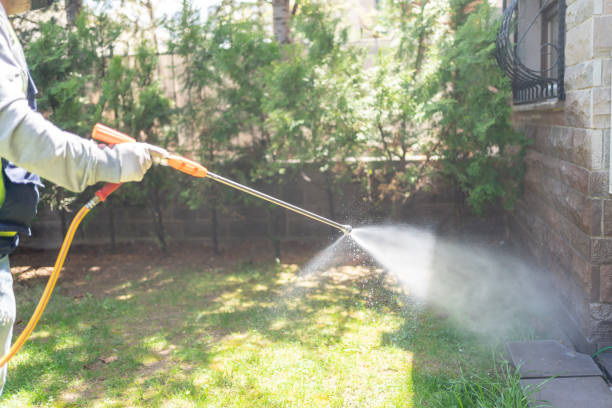 Best Spider Control Near Me  in Clinton, TN
