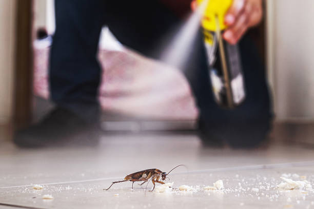 Best Cockroach Control Services  in Clinton, TN