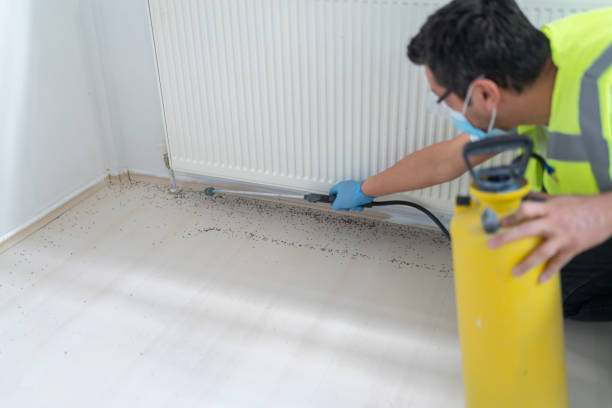 Best Affordable Pest Control Services  in Clinton, TN